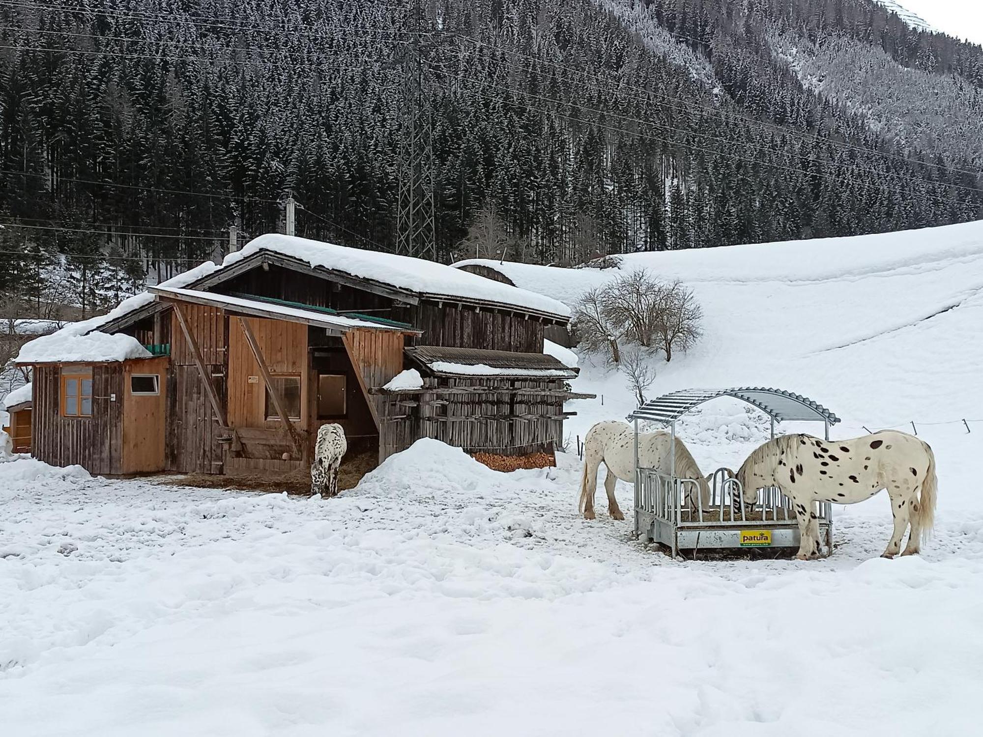 Burgerhof Villa Pettneu am Arlberg Luaran gambar